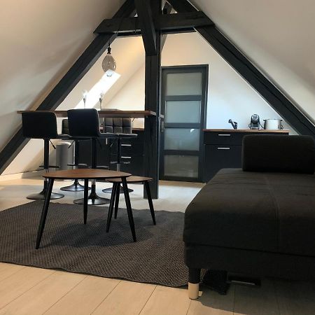 شقة Cocoon Loft كولمار المظهر الخارجي الصورة