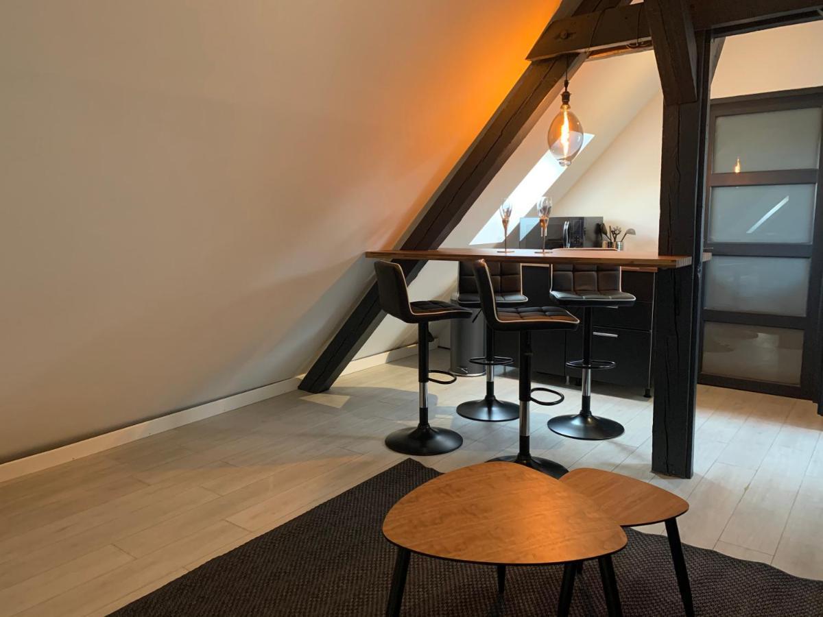 شقة Cocoon Loft كولمار المظهر الخارجي الصورة