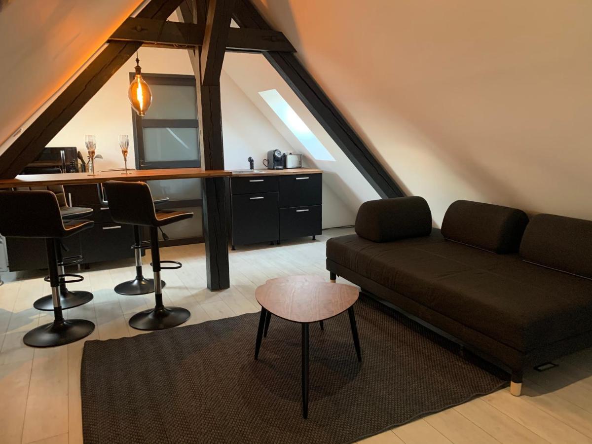 شقة Cocoon Loft كولمار المظهر الخارجي الصورة