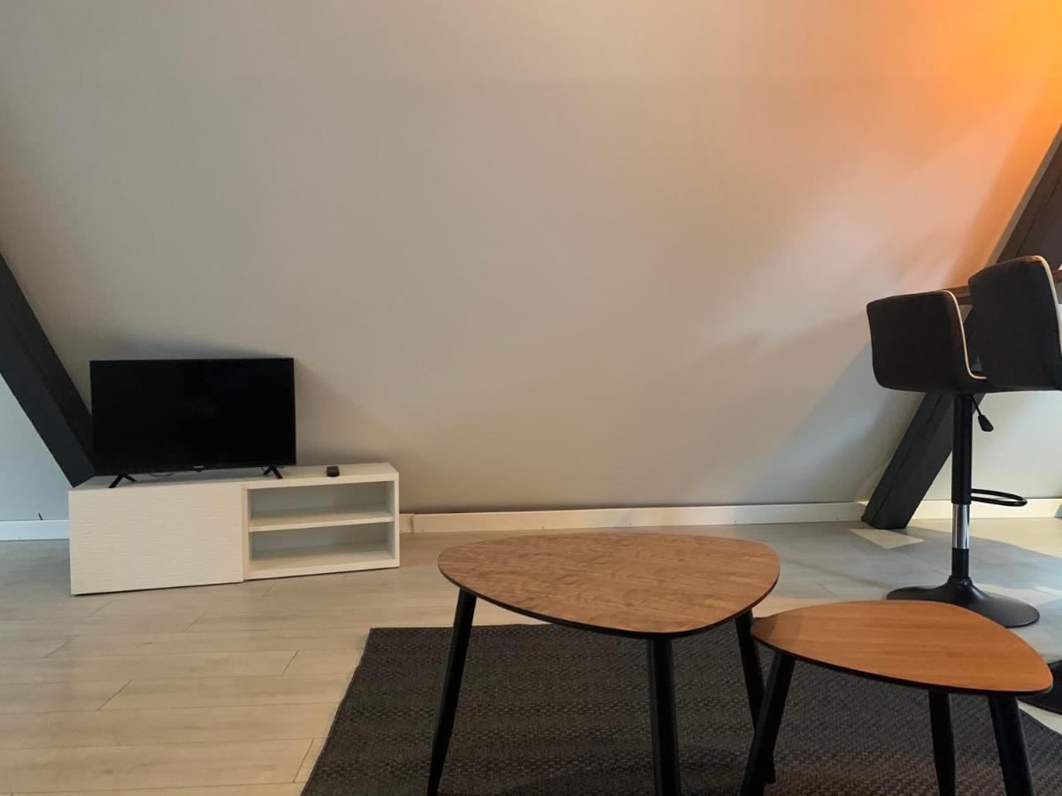 شقة Cocoon Loft كولمار المظهر الخارجي الصورة