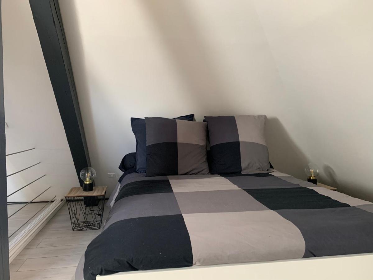 شقة Cocoon Loft كولمار المظهر الخارجي الصورة