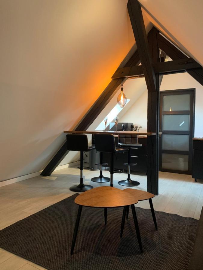 شقة Cocoon Loft كولمار المظهر الخارجي الصورة