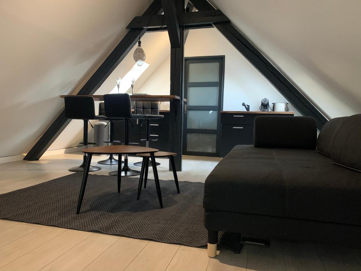 شقة Cocoon Loft كولمار المظهر الخارجي الصورة