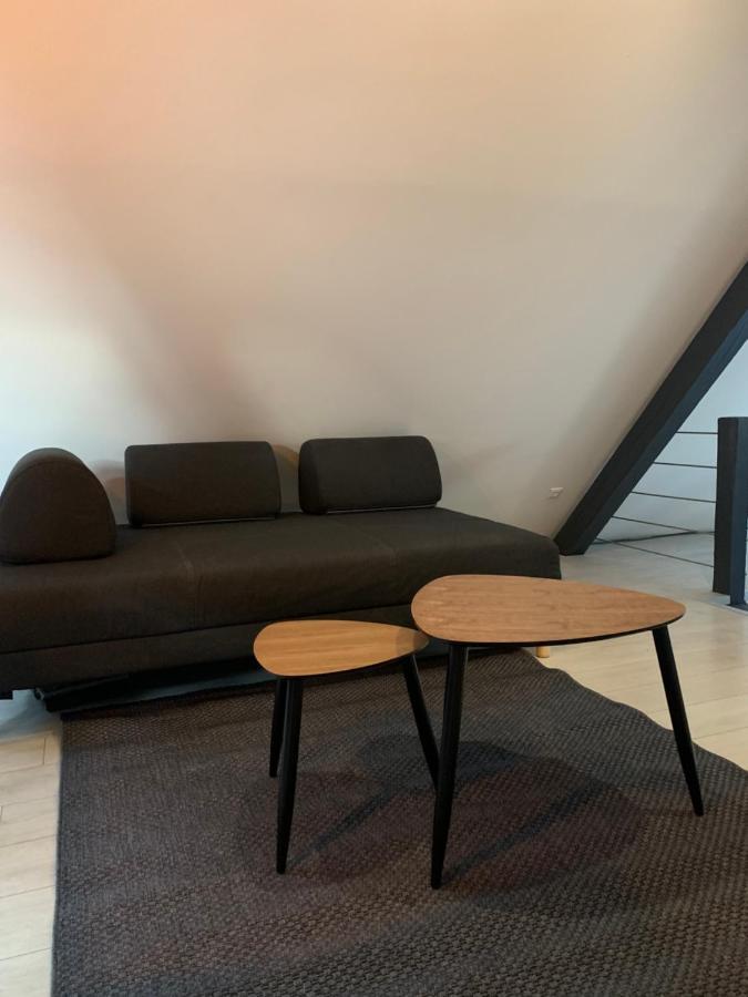 شقة Cocoon Loft كولمار المظهر الخارجي الصورة