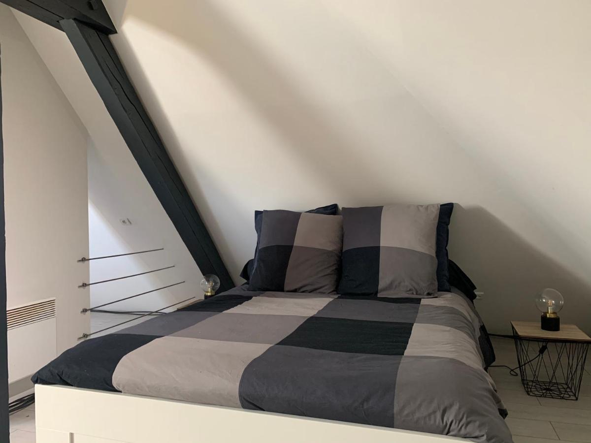 شقة Cocoon Loft كولمار المظهر الخارجي الصورة