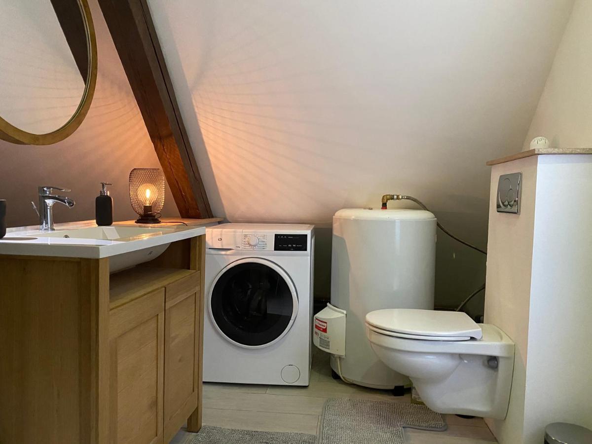 شقة Cocoon Loft كولمار المظهر الخارجي الصورة